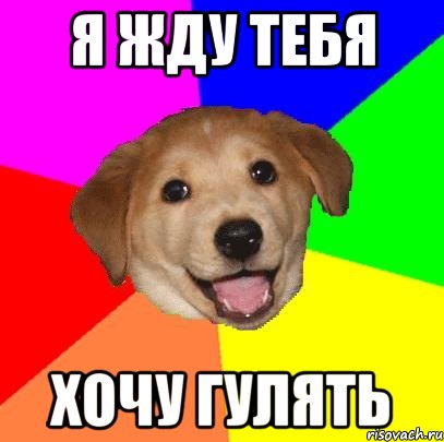 Я жду тебя Хочу гулять, Мем Advice Dog