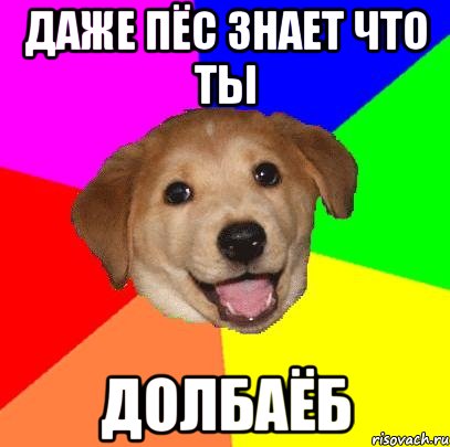 даже пёс знает что ты долбаёб, Мем Advice Dog