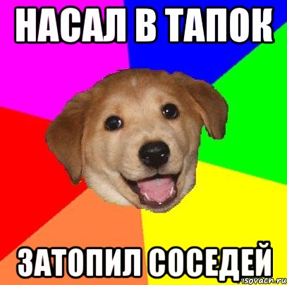 НАСАЛ В ТАПОК ЗАТОПИЛ СОСЕДЕЙ, Мем Advice Dog