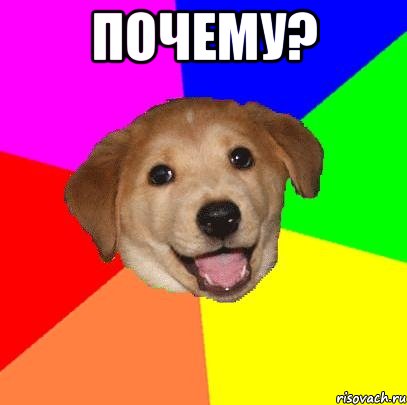 Почему? , Мем Advice Dog