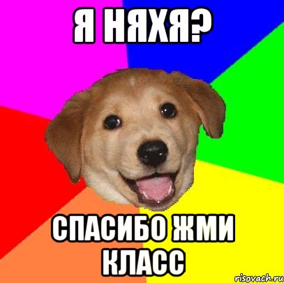 я няхя? спасибо жми класс, Мем Advice Dog