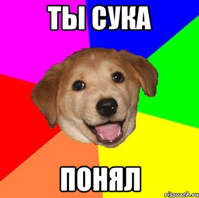 Ты сука понял, Мем Advice Dog