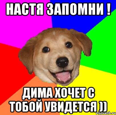 Настя запомни ! Дима хочет с тобой увидется )), Мем Advice Dog