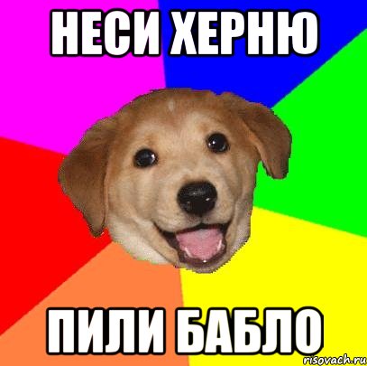 Неси херню Пили бабло, Мем Advice Dog