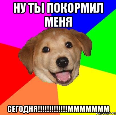 ну ты покормил меня сегодня!!!!!!!!!!!!!ммммммм, Мем Advice Dog