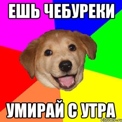 ЕШЬ ЧЕБУРЕКИ УМИРАЙ С УТРА, Мем Advice Dog