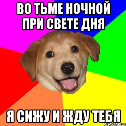 во тьме ночной при свете дня я сижу и жду тебя, Мем Advice Dog