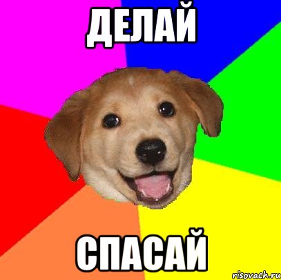 Делай Спасай, Мем Advice Dog