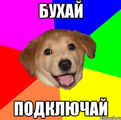 БУХАЙ ПОДКЛЮЧАЙ, Мем Advice Dog