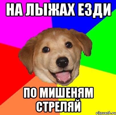 на лыжах езди по мишеням стреляй, Мем Advice Dog