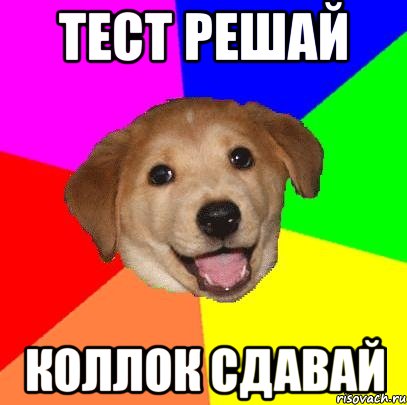 тест решай коллок сдавай, Мем Advice Dog