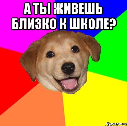 А ты живешь близко к школе? , Мем Advice Dog