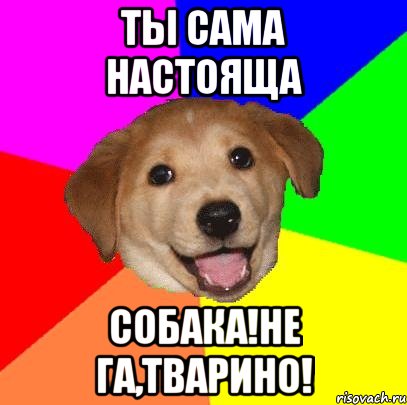 ТЫ САМА НАСТОЯЩА СОБАКА!НЕ ГА,ТВАРИНО!, Мем Advice Dog