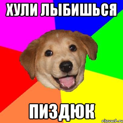 хули лыбишься пиздюк, Мем Advice Dog