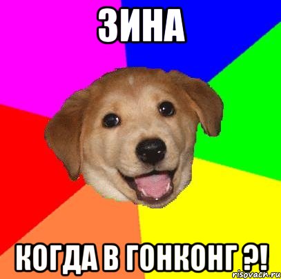 Зина когда в Гонконг ?!, Мем Advice Dog