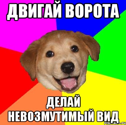 ДВИГАЙ ВОРОТА ДЕЛАЙ НЕВОЗМУТИМЫЙ ВИД, Мем Advice Dog