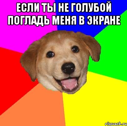 если ты не голубой погладь меня в экране , Мем Advice Dog