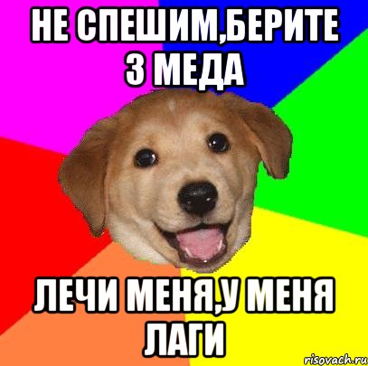 Не спешим,берите 3 меда лечи меня,у меня лаги, Мем Advice Dog