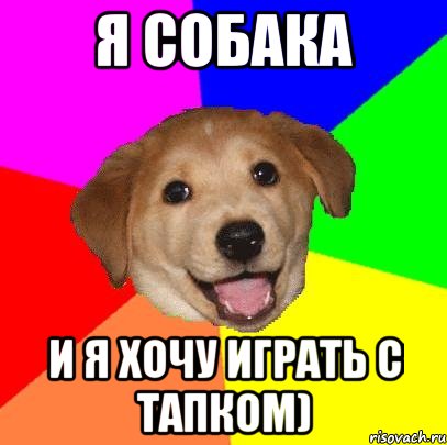 Я собака И я хочу играть с тапком), Мем Advice Dog