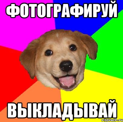 Фотографируй ВЫкладывай, Мем Advice Dog