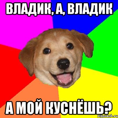 Владик, а, владик А мой куснёшь?, Мем Advice Dog