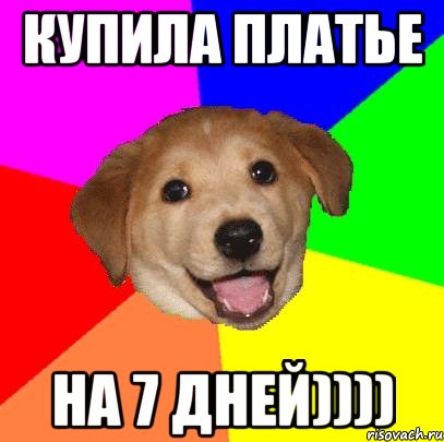 купила платье на 7 дней)))), Мем Advice Dog