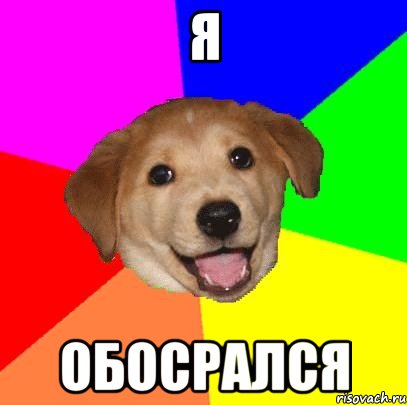 Я обосрался, Мем Advice Dog