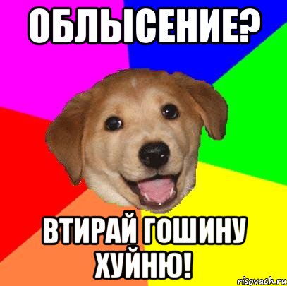 Облысение? Втирай Гошину хуйню!, Мем Advice Dog