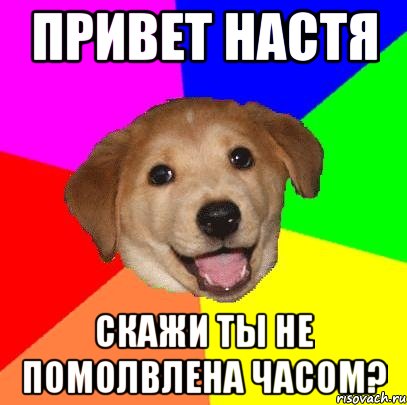 Привет Настя Скажи ты не помолвлена часом?, Мем Advice Dog