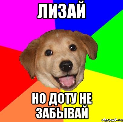 ЛИЗАЙ НО ДОТУ НЕ ЗАБЫВАЙ, Мем Advice Dog