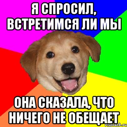 Я спросил, встретимся ли мы Она сказала, что ничего не обещает, Мем Advice Dog