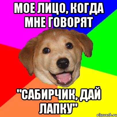 мое лицо, когда мне говорят "Сабирчик, дай лапку", Мем Advice Dog