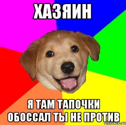 Хазяин я там тапочки обоссал ты не против, Мем Advice Dog