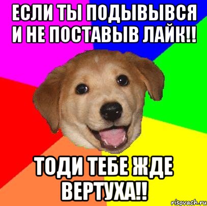 если ты подывывся и не поставыв лайк!! тоди тебе жде вертуха!!, Мем Advice Dog