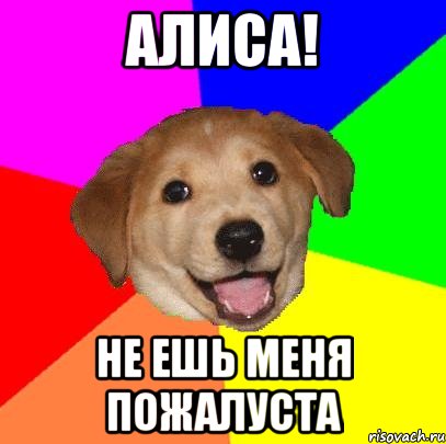 АЛИСА! НЕ ЕШЬ МЕНЯ ПОЖАЛУСТА, Мем Advice Dog