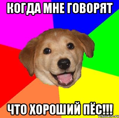 Когда мне говорят что хороший пёс!!!, Мем Advice Dog