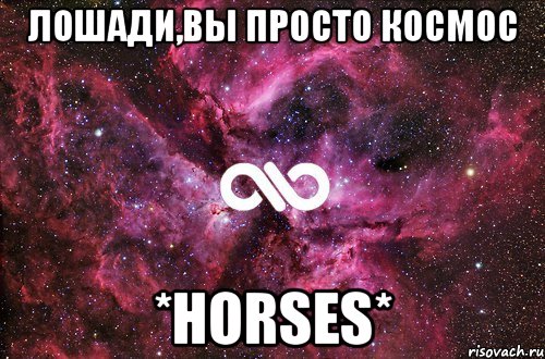 Лошади,вы просто космос *horses*, Мем офигенно