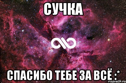 Сучка спасибо тебе за всё :*, Мем офигенно