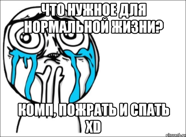 Что нужное для нормальной жизни? Комп, пожрать и спать XD, Мем Это самый