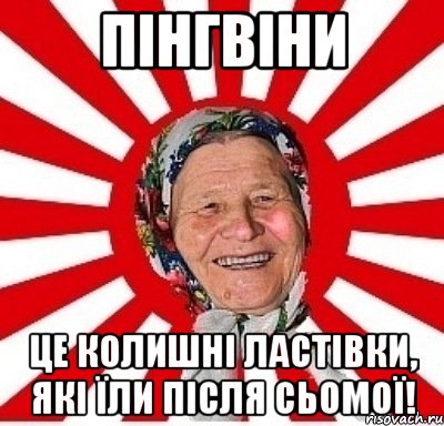 Пінгвіни це колишні ластівки, які їли після сьомої!, Мем  бабуля