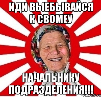 Иди выебывайся к свомеу начальнику Подразделения!!!, Мем  бабуля