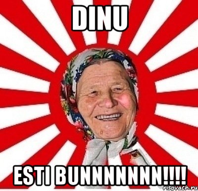 DINU Esti BuNNNNNNN!!!!, Мем  бабуля