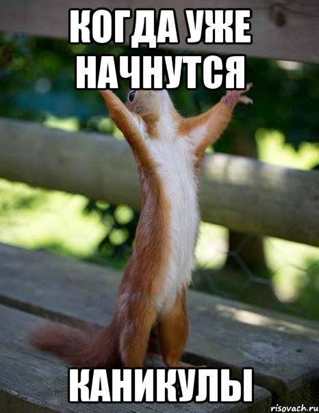 Когда уже начнутся каникулы