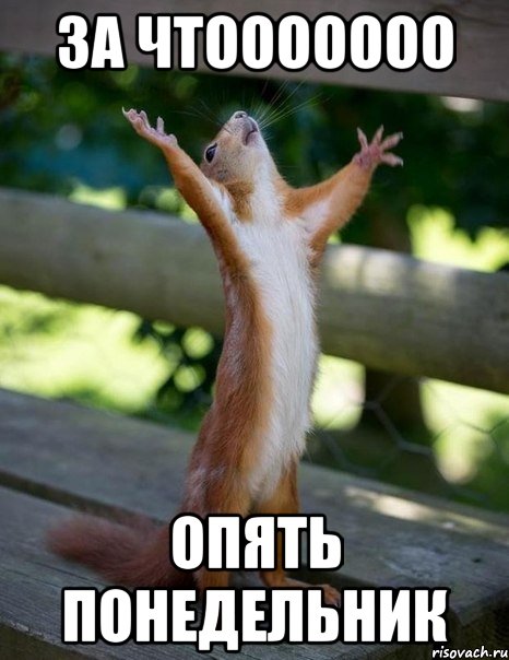 за чтооооооо опять понедельник