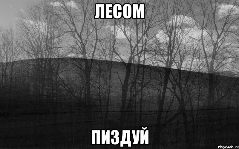 ЛЕСОМ ПИЗДУЙ, Мем безысходность лес