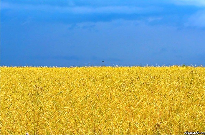 Я - ПАТРІОТ, Комикс будь патротом