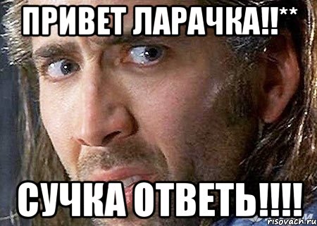 Привет Ларачка!!** Сучка ответь!!!!, Мем Cage