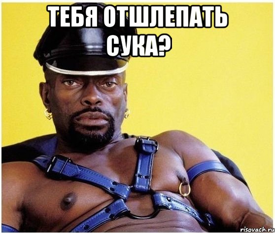 Тебя отшлепать сука? , Мем Черный властелин