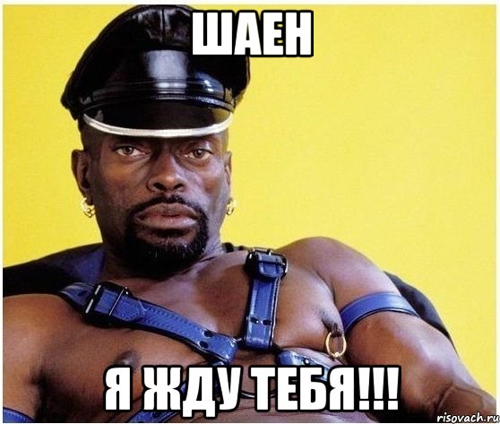 Шаен я жду тебя!!!, Мем Черный властелин