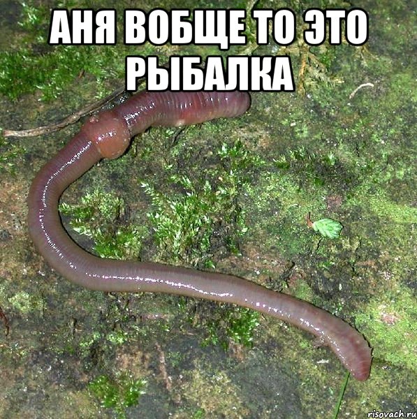 Аня вобще то это рыбалка 